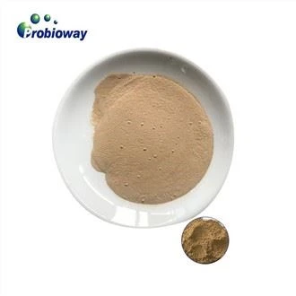 Bacillus Licheniformis Husdyrtilsetningsstoffer