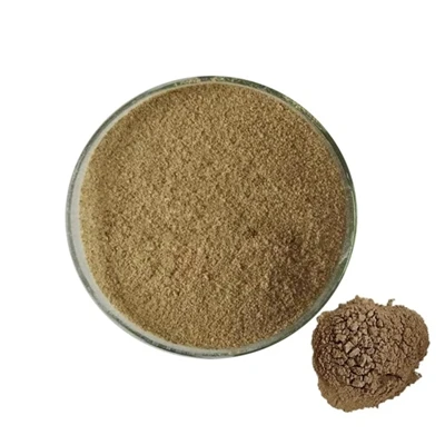 Hva er effektene og funksjonene til Bacillus Subtilis?