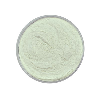 Lactobacillus Reuteri